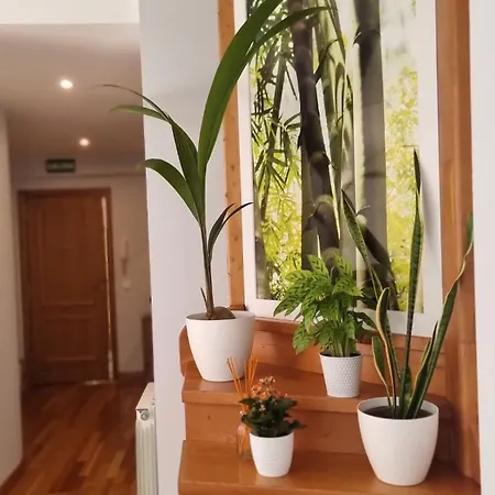 Quintana Del Mar * Suances